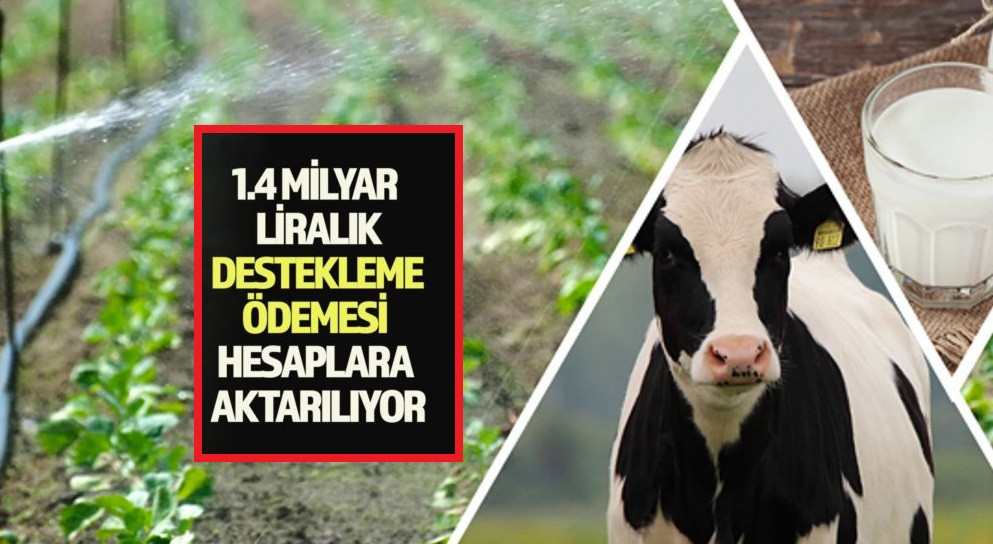 1.4 MİLYAR LİRALIK DESTEKLEME ÖDEMESİ HESAPLARA AKTARILIYOR